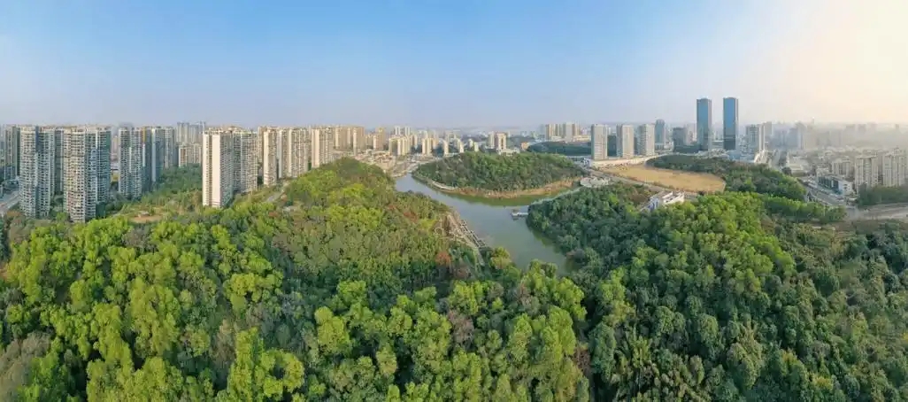 “三進三同”攜手共進,江門站助力區(qū)縣監(jiān)測見成效